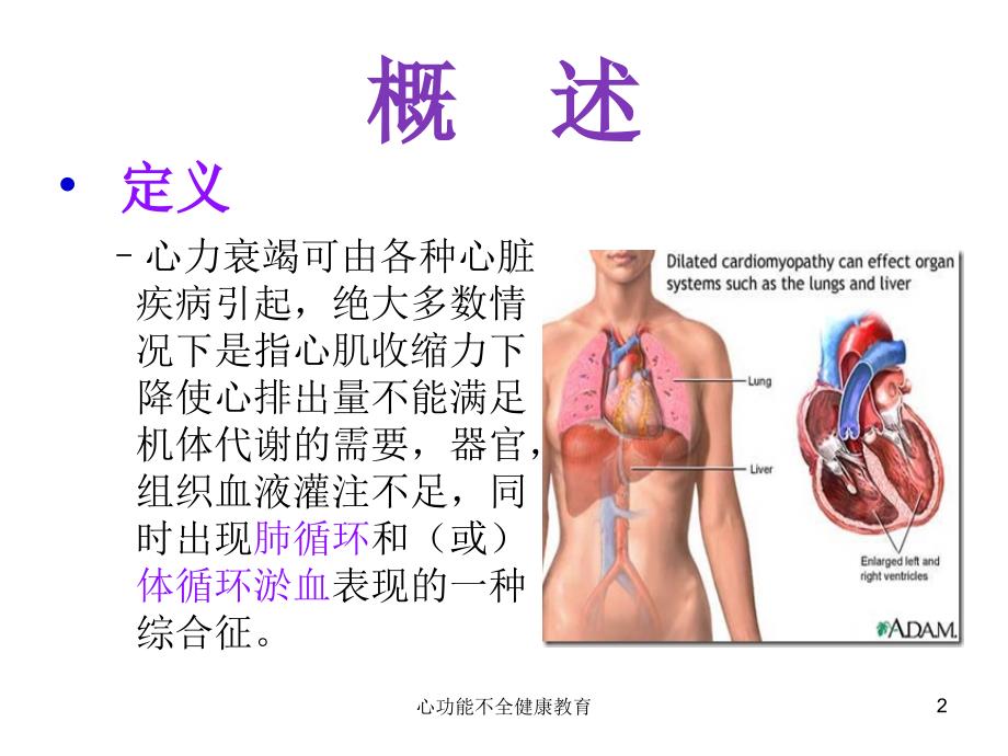 心功能不全健康教育课件_第2页