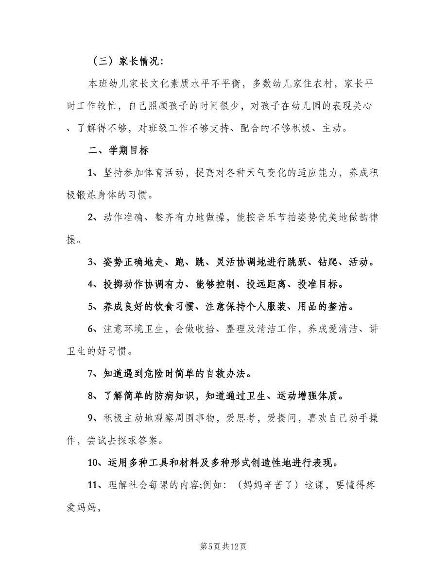 小班下学期教师个人工作计划（4篇）_第5页