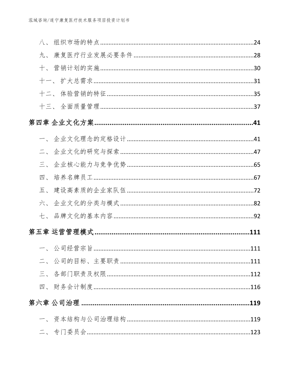 遂宁康复医疗技术服务项目投资计划书_第2页