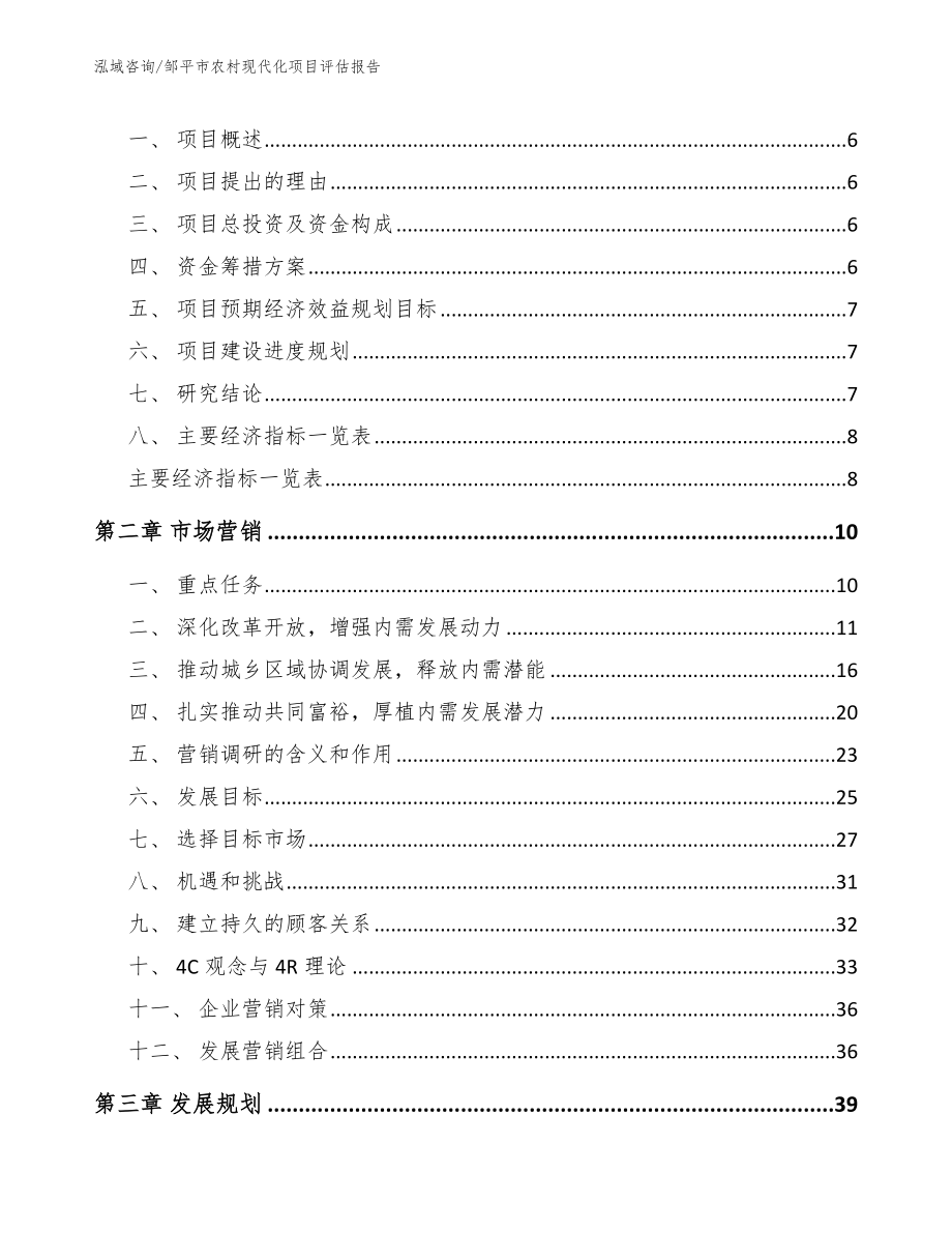 邹平市农村现代化项目评估报告模板_第2页