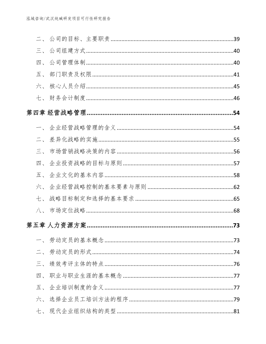 武汉纯碱研发项目可行性研究报告_第3页
