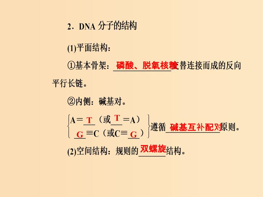 2019版高考生物总复习 第六单元 遗传的分子基础 第2讲 DNA分子的结构、复制和基因的本质课件.ppt_第4页