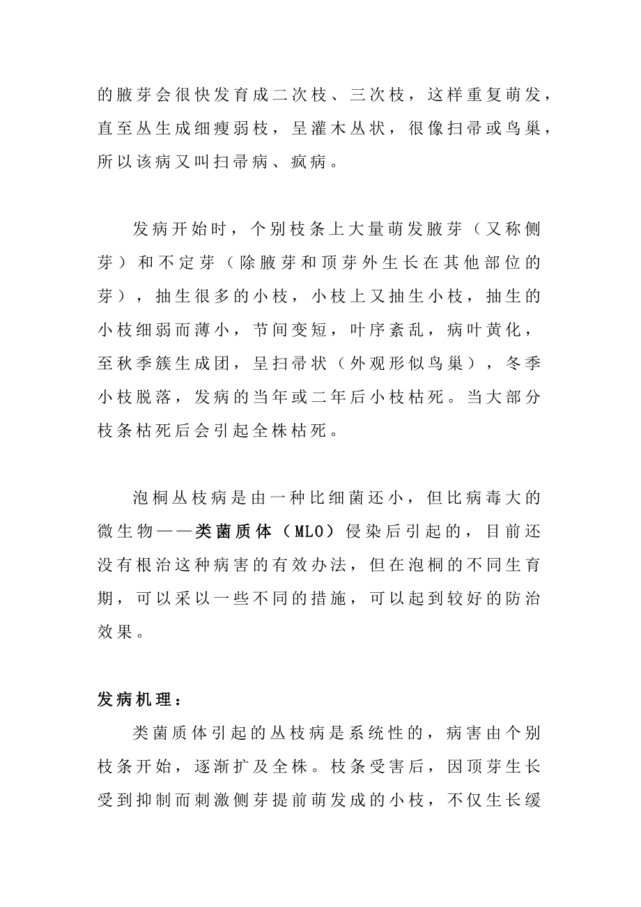 备课素材：顶端优势的原理解释泡桐丛技病的症状和发病机理.docx_第4页