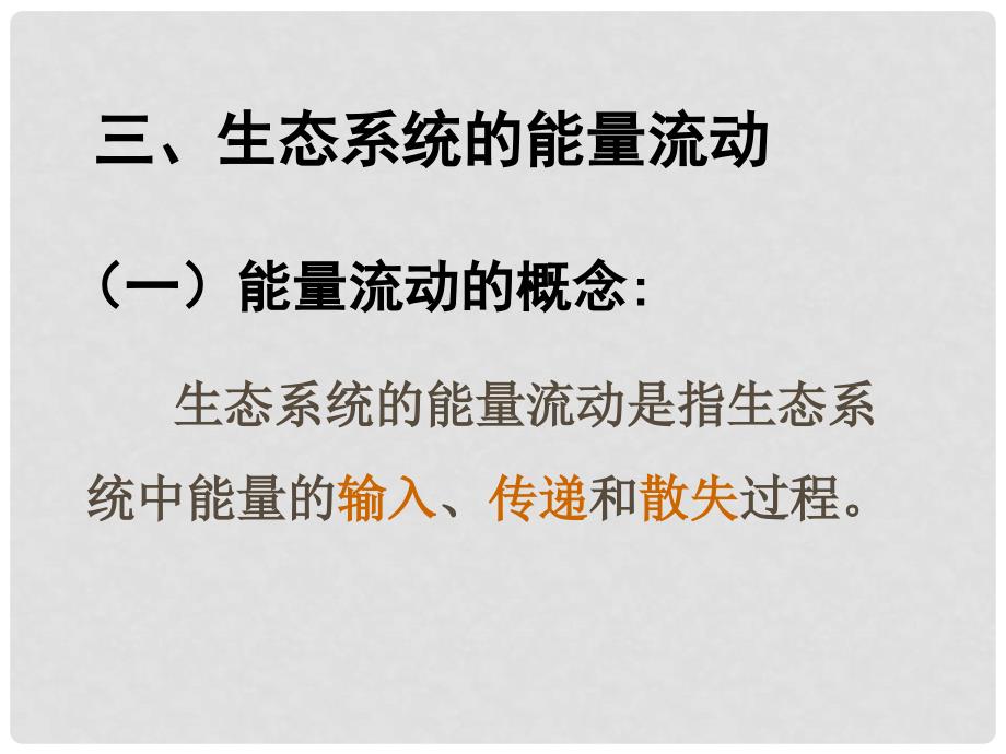 湖南省师大附中高中生物 生态系统的能量流动课件 新人教版必修3_第4页