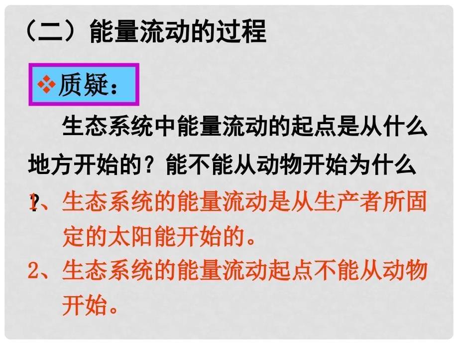 湖南省师大附中高中生物 生态系统的能量流动课件 新人教版必修3_第5页