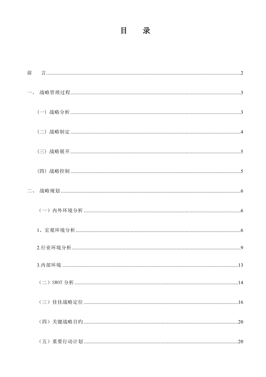 如皋市佳佳战略规划报告.doc_第2页