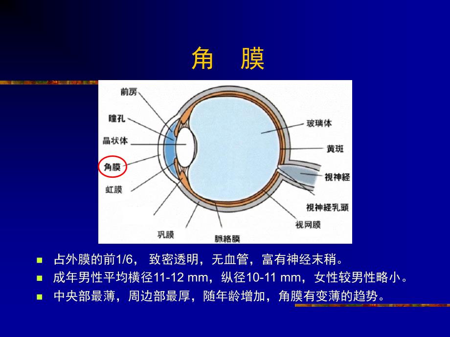 医学与人类健康：常见眼病的基础知识_第3页