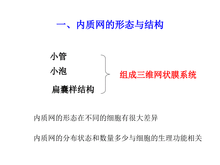 医药 细胞的内膜系统 B——内质网_第3页