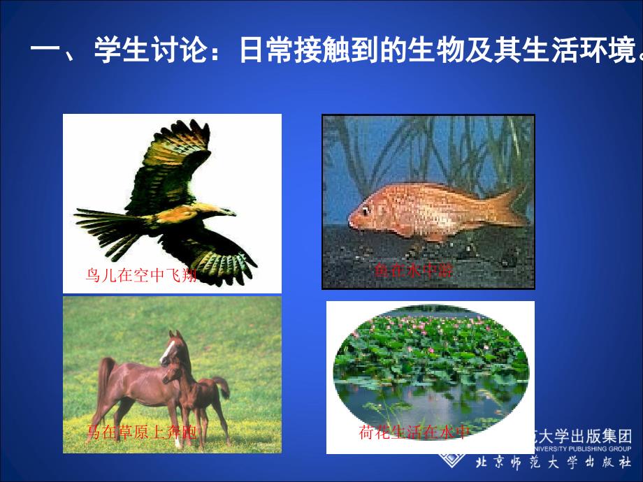 形形色色的生物课堂教学版_第3页