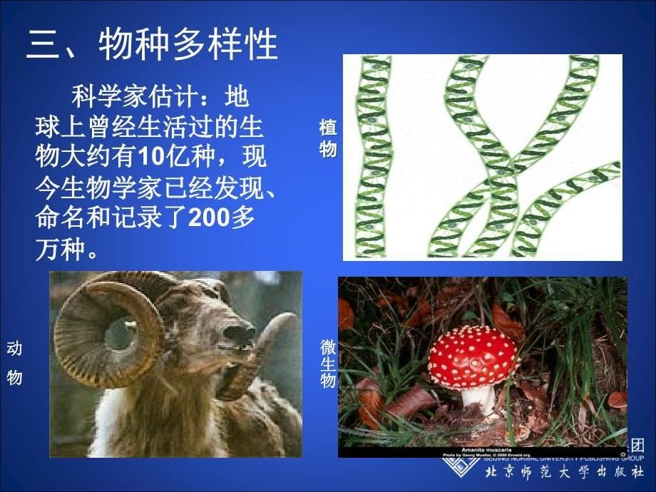 形形色色的生物课堂教学版_第5页