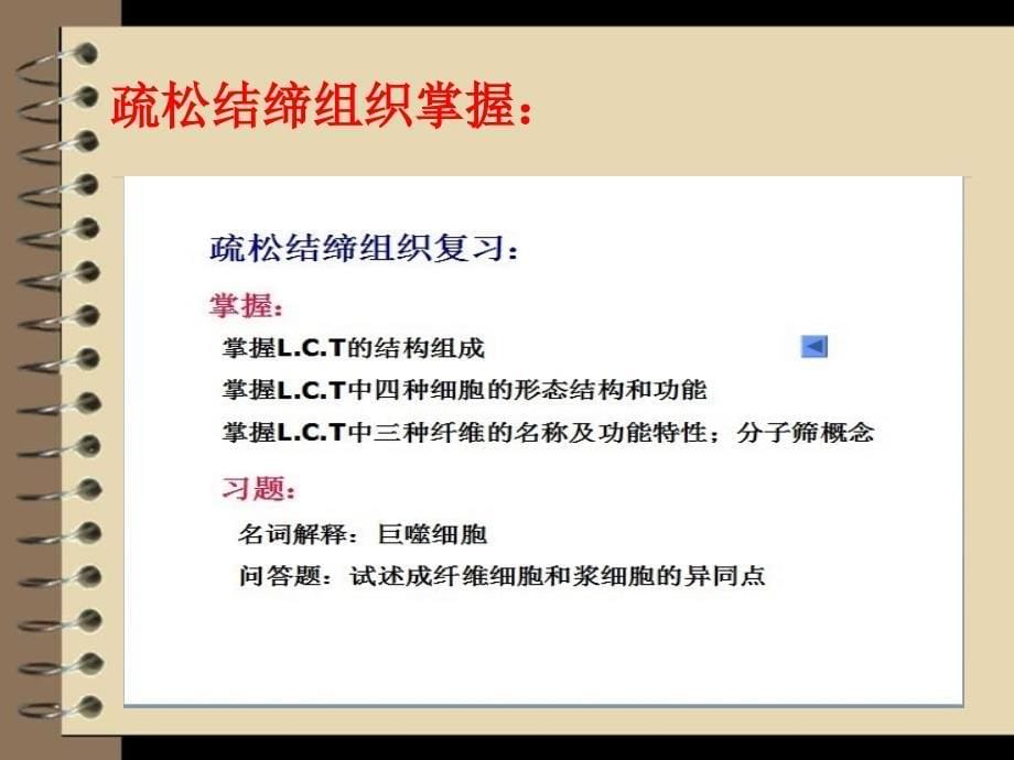 组织胚胎学掌握要点教案_第5页