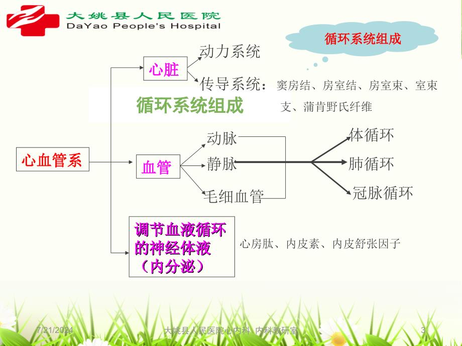 循环系统疾病第一总论ppt课件_第3页