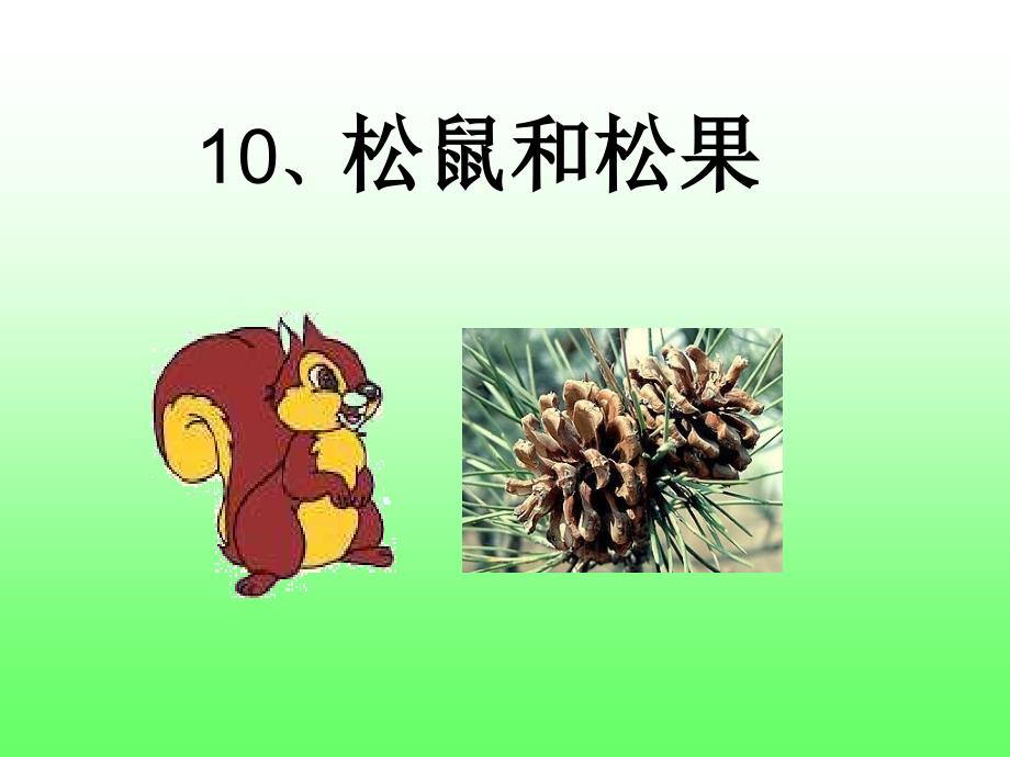 10_松鼠和松果_上课用_第2页