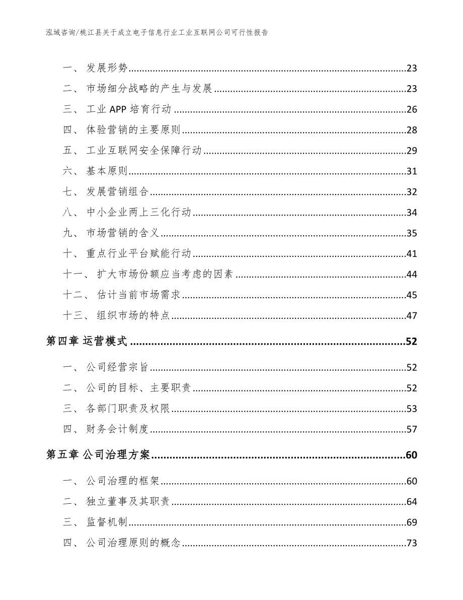 桃江县关于成立电子信息行业工业互联网公司可行性报告_第4页