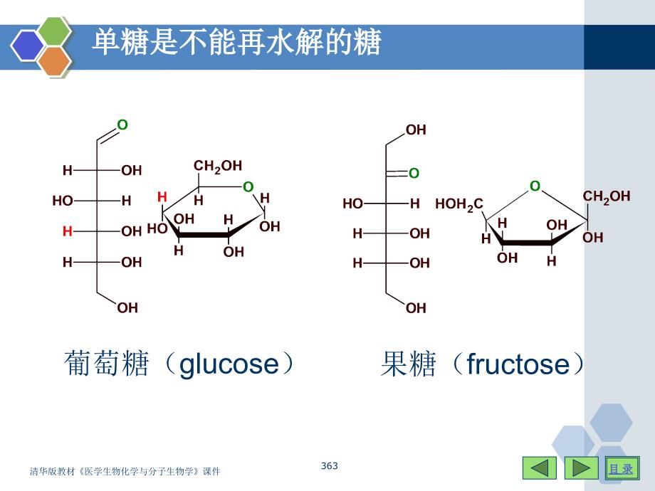 生命活动的主要能源课件_第4页