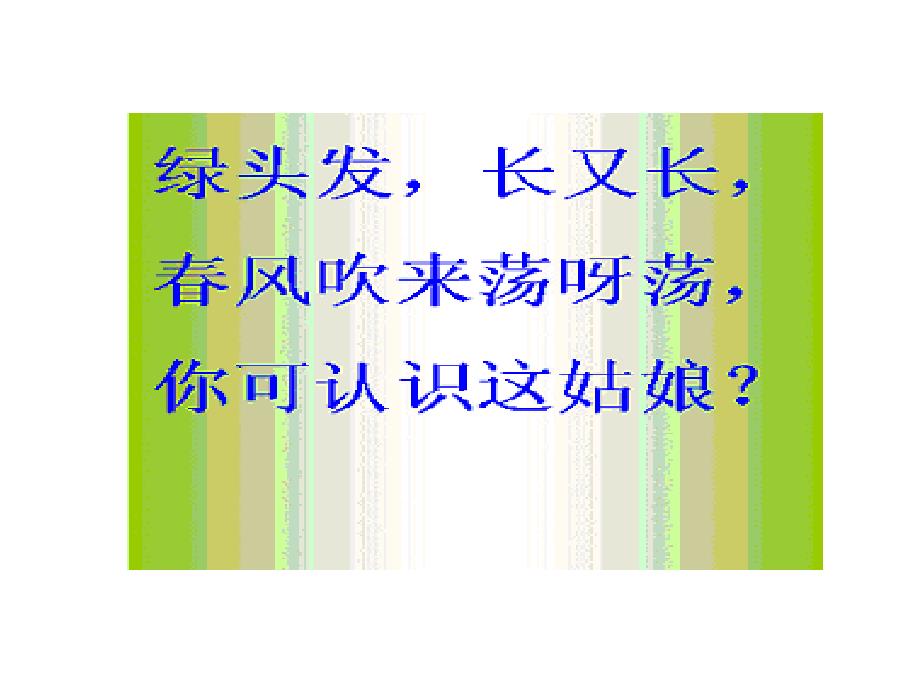 人教版小学语文二年级上册《小柳树和小枣树》PPT课件_第2页