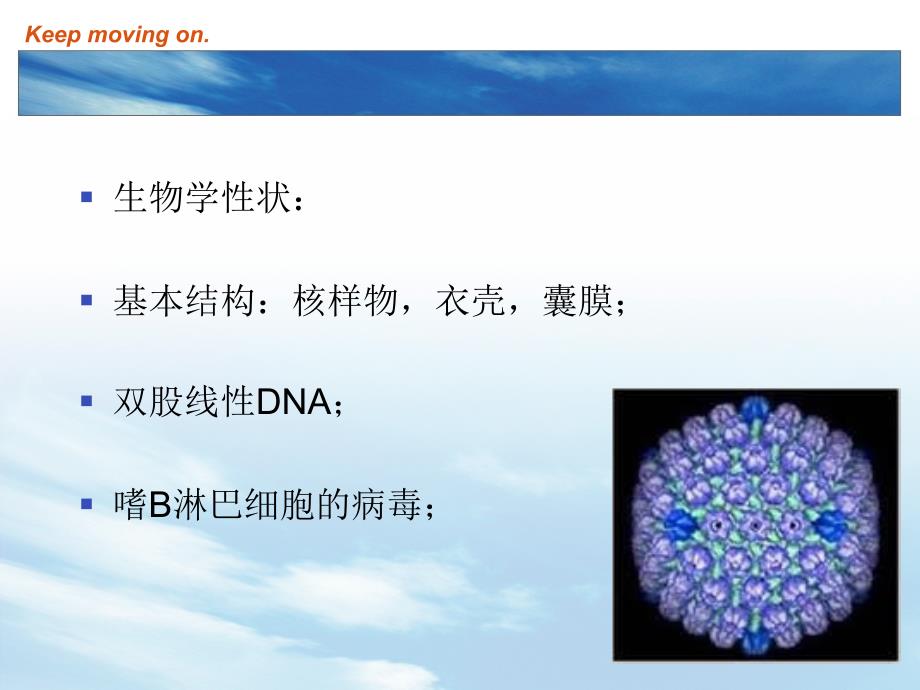 EBV及传染性单核细胞增多症课件_第4页