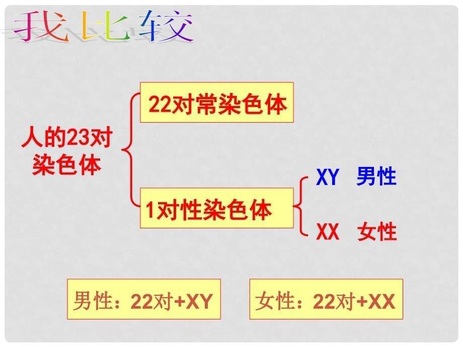 八年级生物上册 第四单元 第四章 第三节 人类染色体与性别决定课件 （新版）济南版_第5页