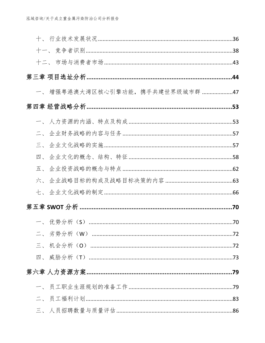 关于成立重金属污染防治公司分析报告_模板范文_第2页