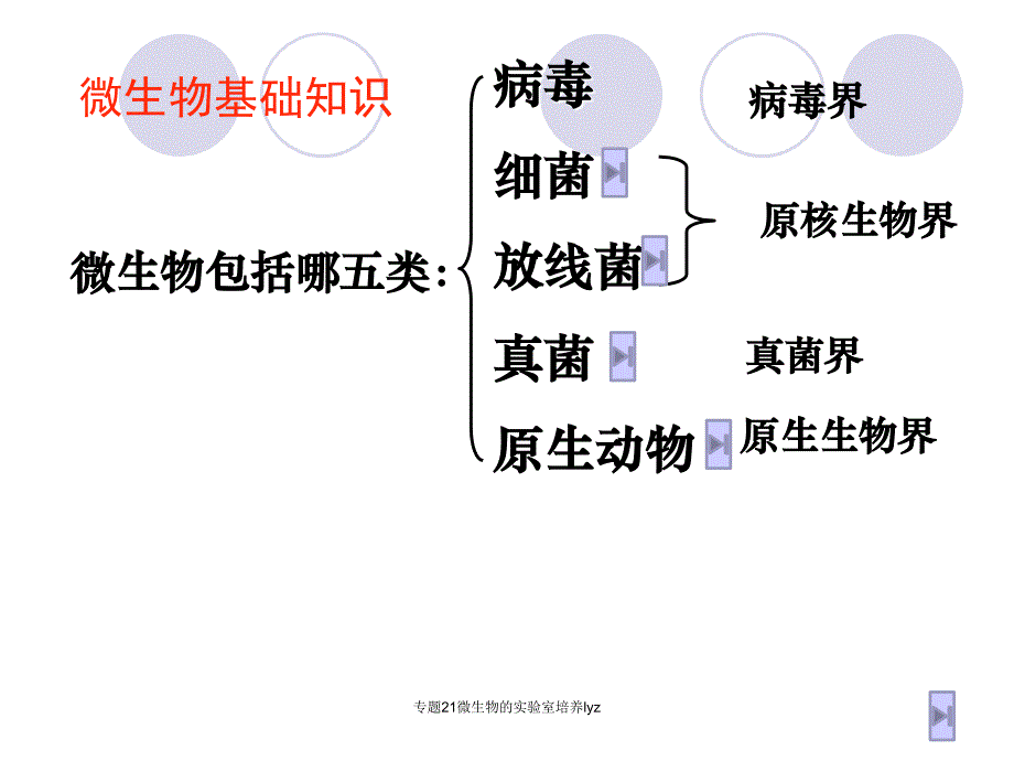 专题21微生物的实验室培养lyz课件_第2页