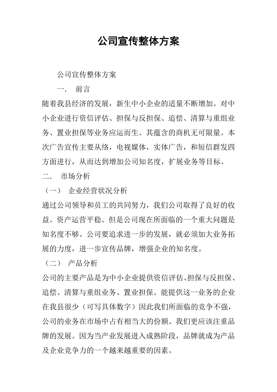 公司宣传整体方案_第1页