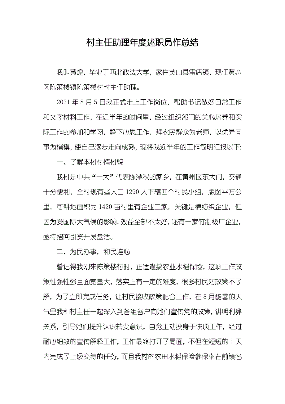 村主任助理年度述职员作总结_第1页