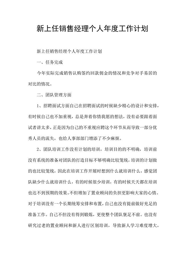 新上任销售经理个人年度工作计划.docx