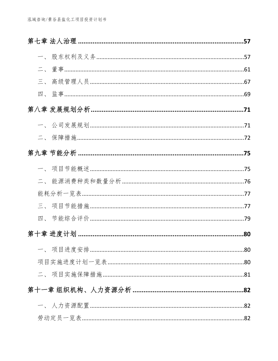 景谷县盐化工项目投资计划书模板参考_第4页