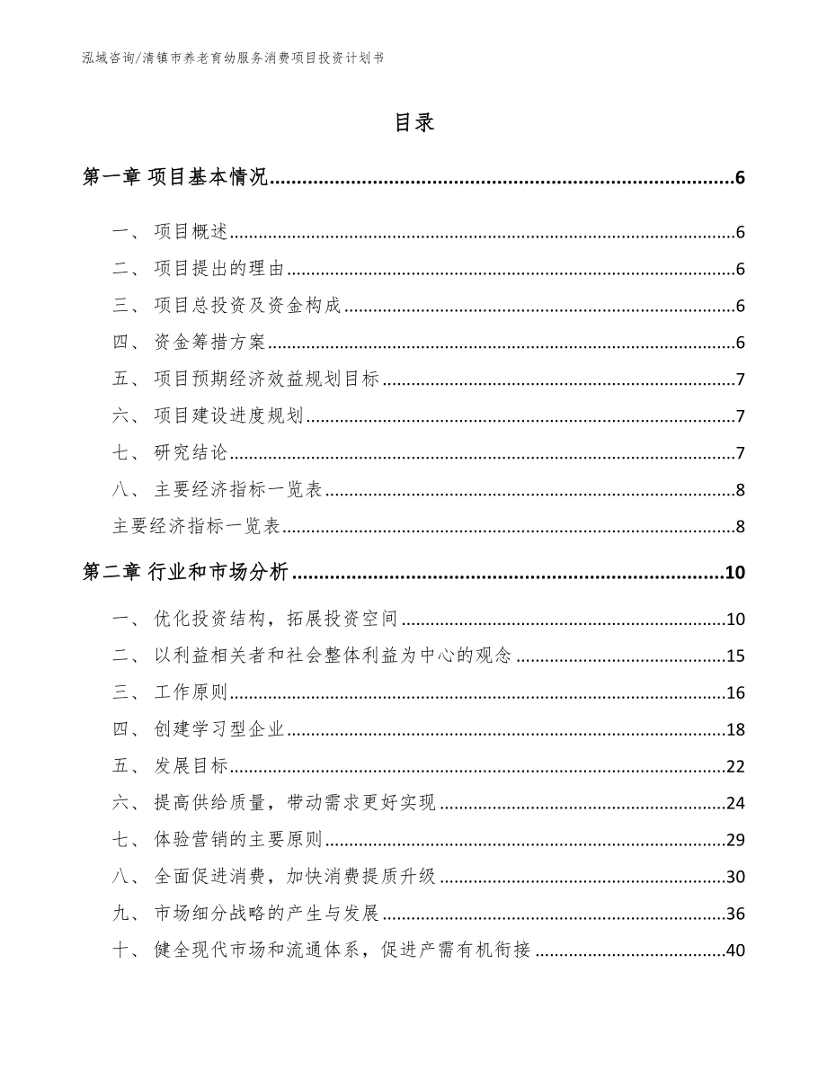 清镇市养老育幼服务消费项目投资计划书（范文）_第2页