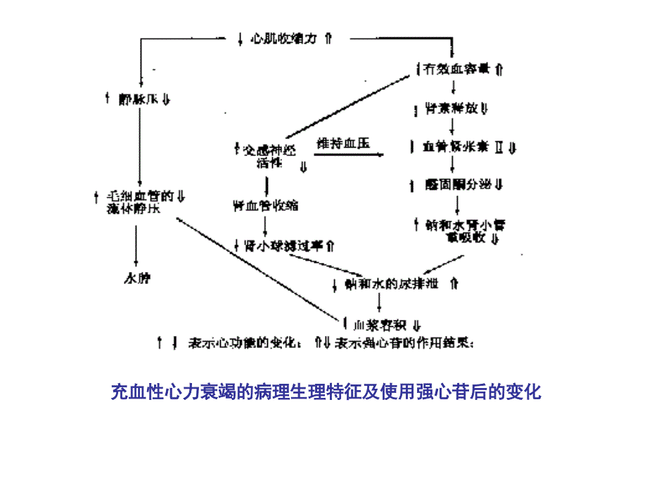 血液循环系统药物-12-13课件_第4页