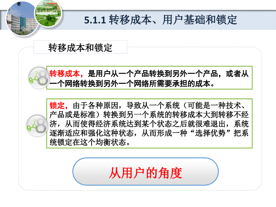 第五章企业锁定定价和限制进入_第4页