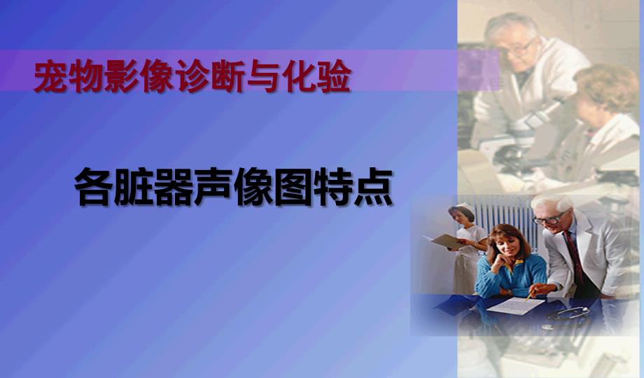 宠物诊疗技术各脏器声像图特点课件_第1页