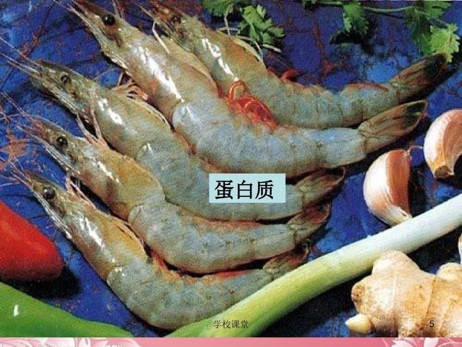 食物中的营养物质课件新人教版讲课适用_第5页