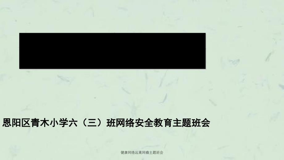 健康网络远离网瘾主题班会_第1页