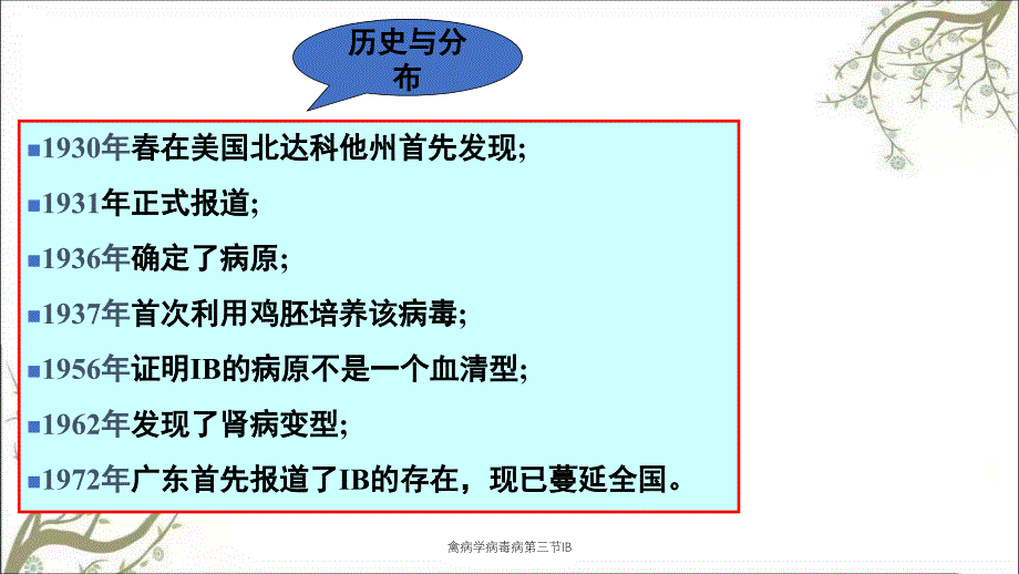 禽病学病毒病第三节IB_第3页