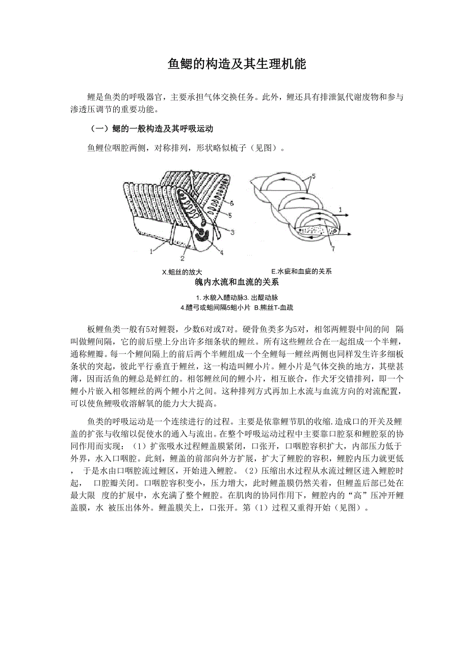 鱼鳃的构造及其生理机能_第1页