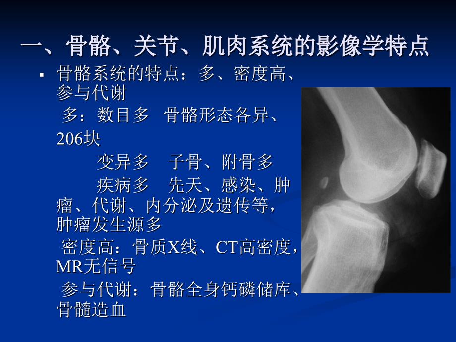 骨关节、肌肉上系统影像学诊断ppt课件_第2页