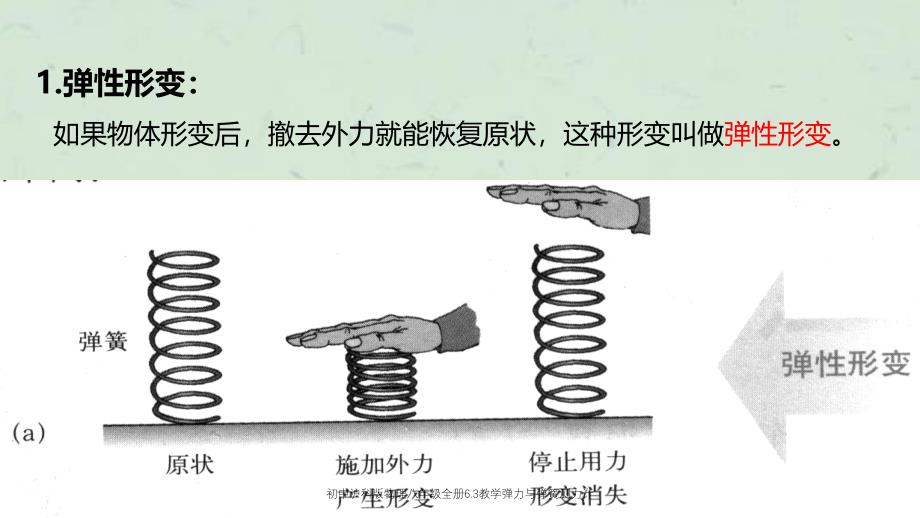 初中沪科版物理八年级全册6.3教学弹力与弹簧测力计课件_第4页