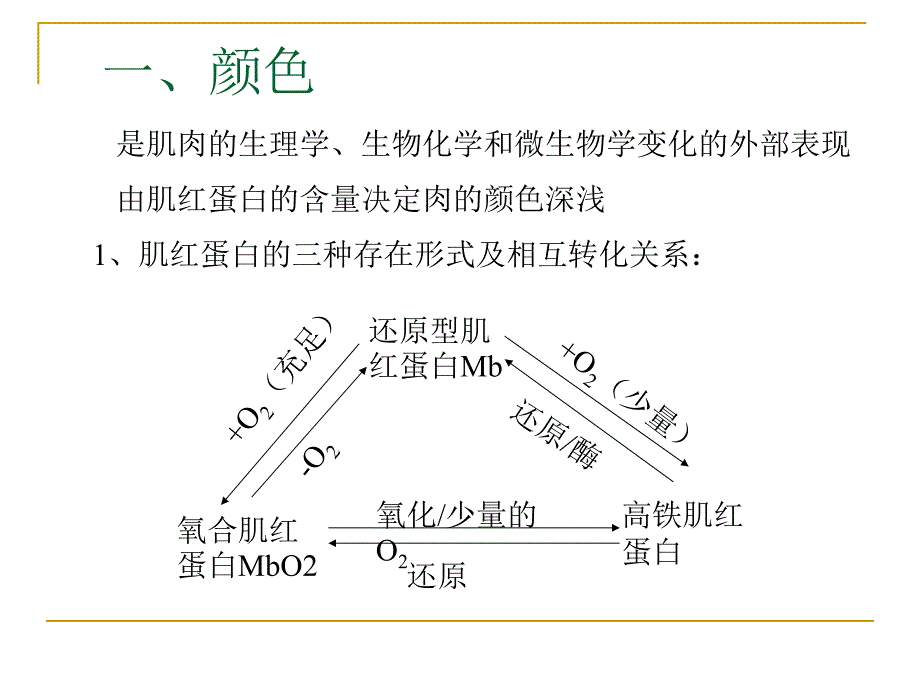 第三章肉的食用品质及其评定_第4页