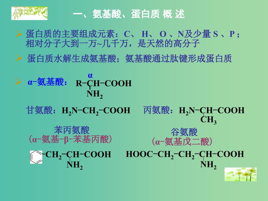 高中化学 5.2 氨基酸 蛋白质课件 苏教版选修5.ppt_第3页