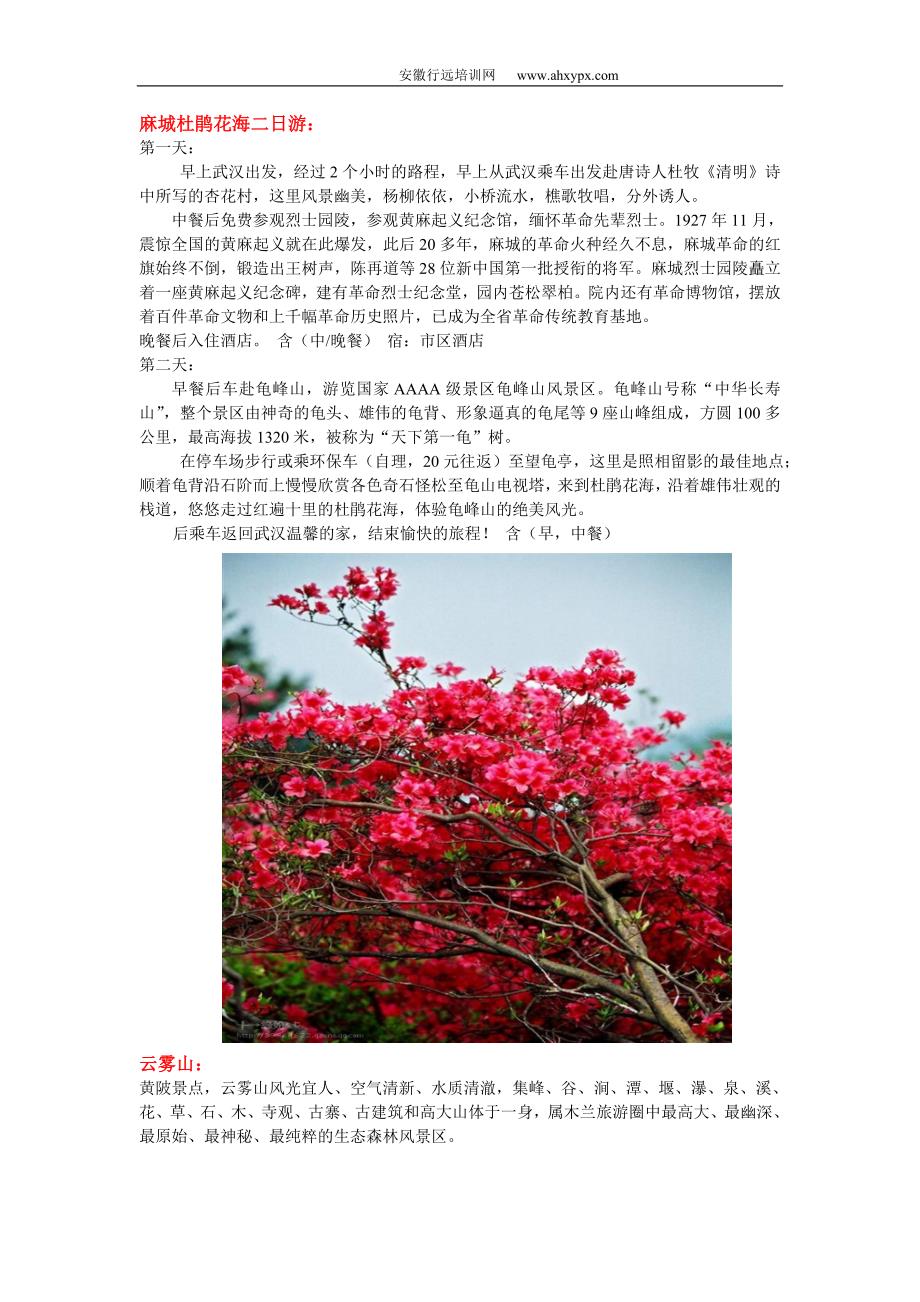 2013清明节武汉踏青旅游总攻略_第3页