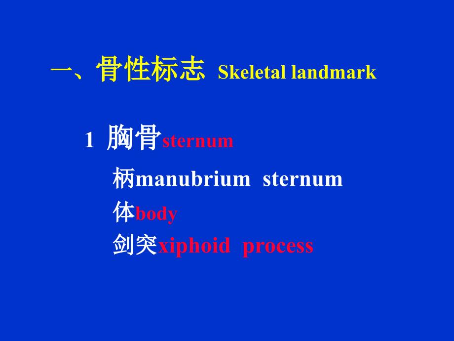 胸部检查—肺3(附件)课件_第3页