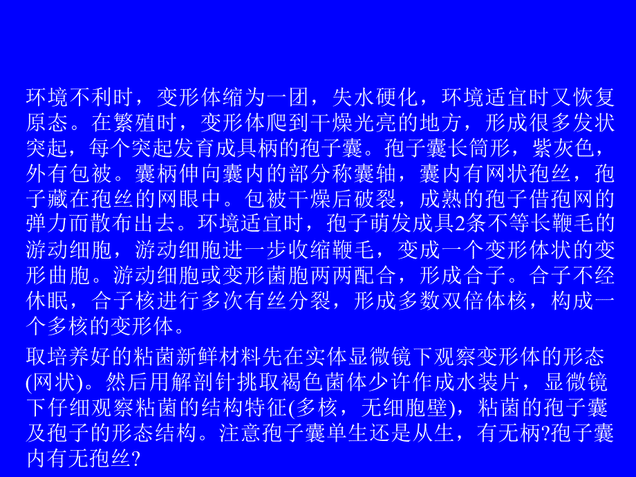 实验十一 菌类植物和地衣_第4页