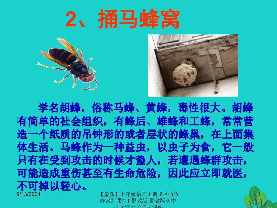 最新七年级语文上册2捅马蜂窝课件1鄂教版鄂教版初中七年级上册语文课件_第1页