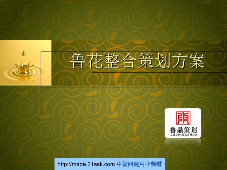 鲁花食用油整合策划方案_第1页