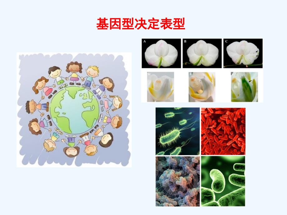 染色质免疫沉淀_第2页