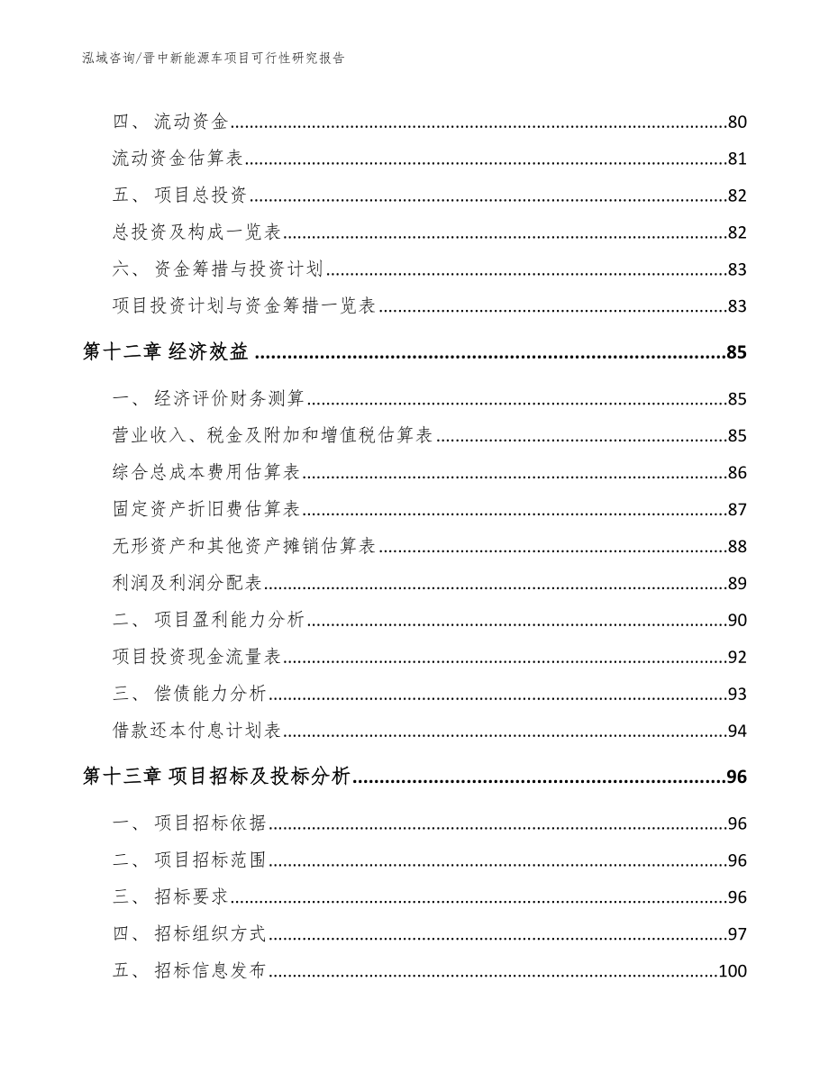 晋中新能源车项目可行性研究报告_第4页