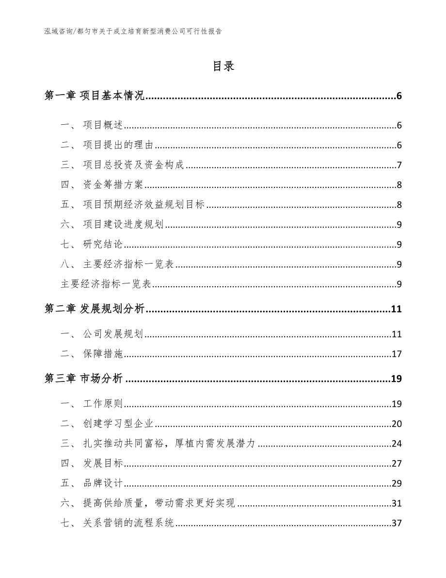 都匀市关于成立培育新型消费公司可行性报告_参考模板_第2页