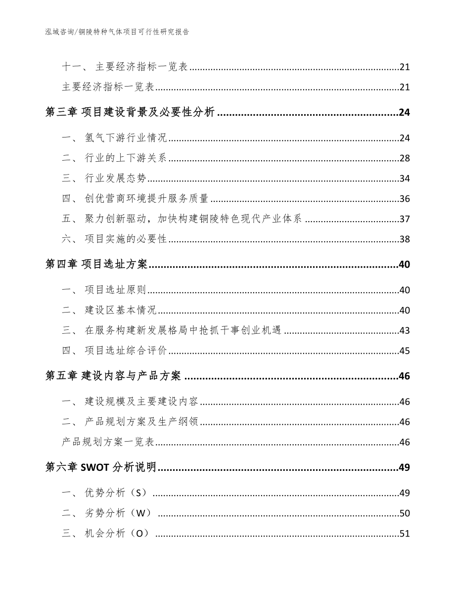 铜陵特种气体项目可行性研究报告模板参考_第3页