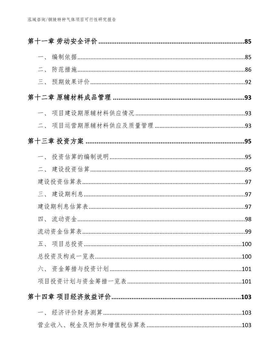 铜陵特种气体项目可行性研究报告模板参考_第5页